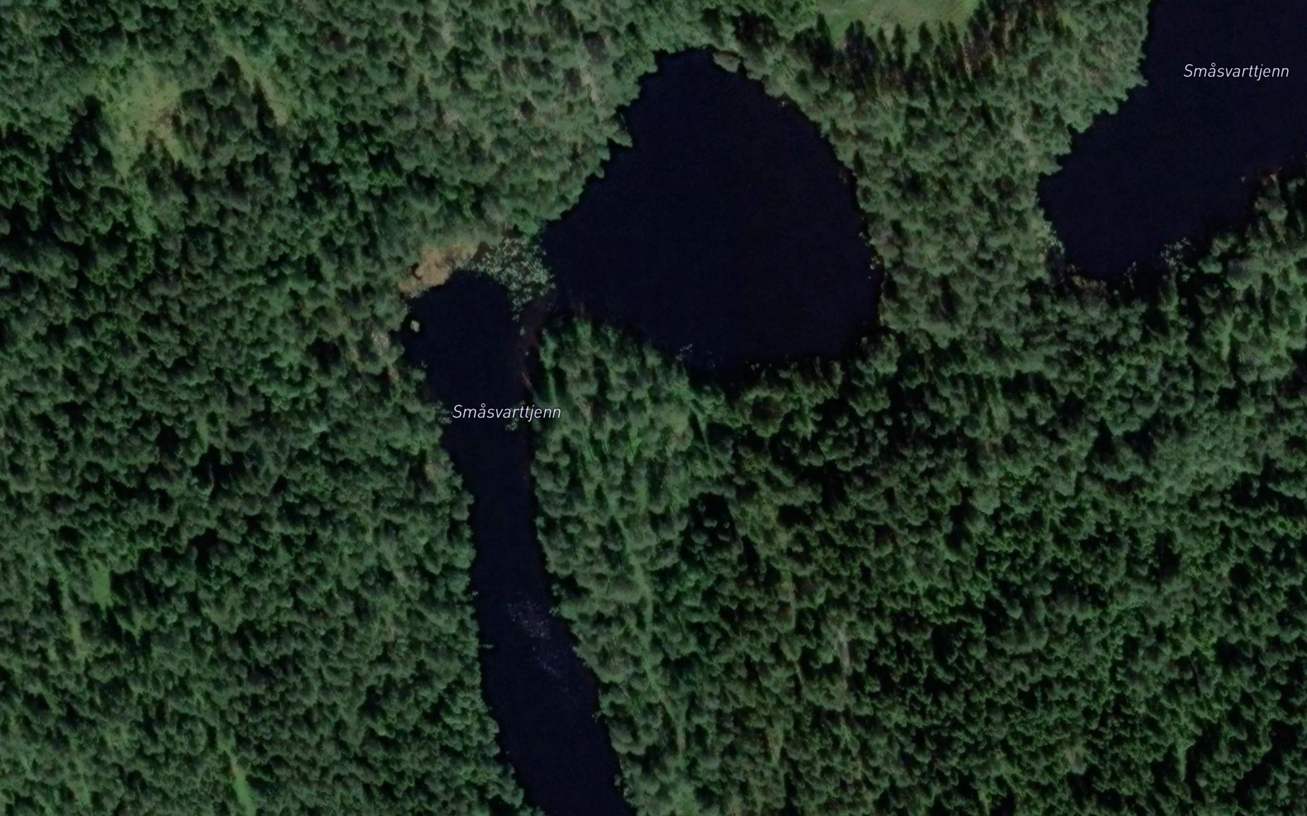 Smasvarttjern