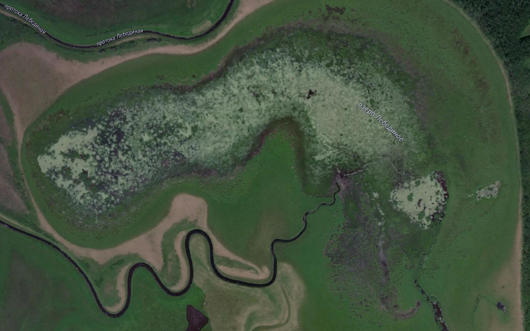 Satellite map of the Ozero Lebedinoye
