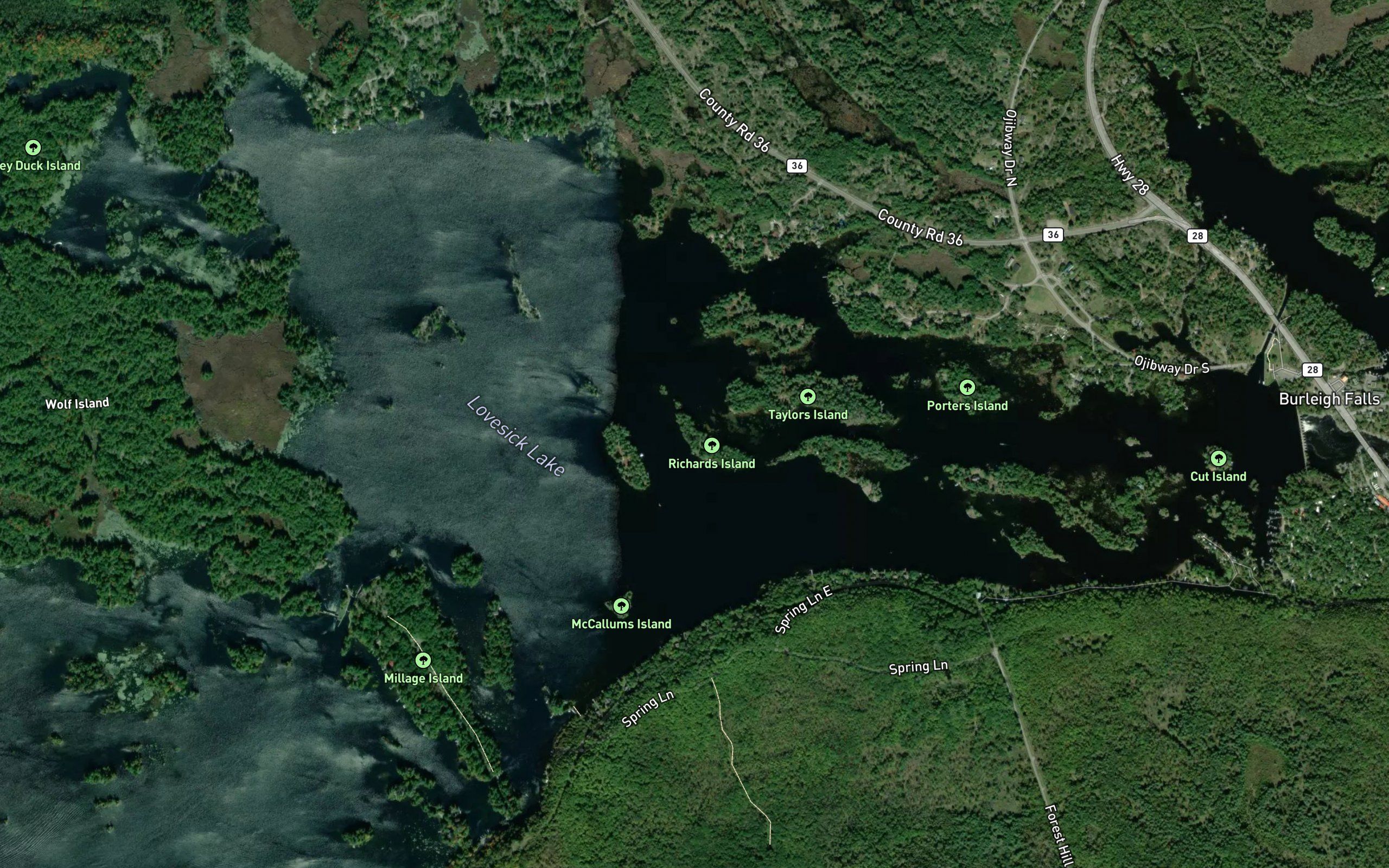 Lovesick Lake