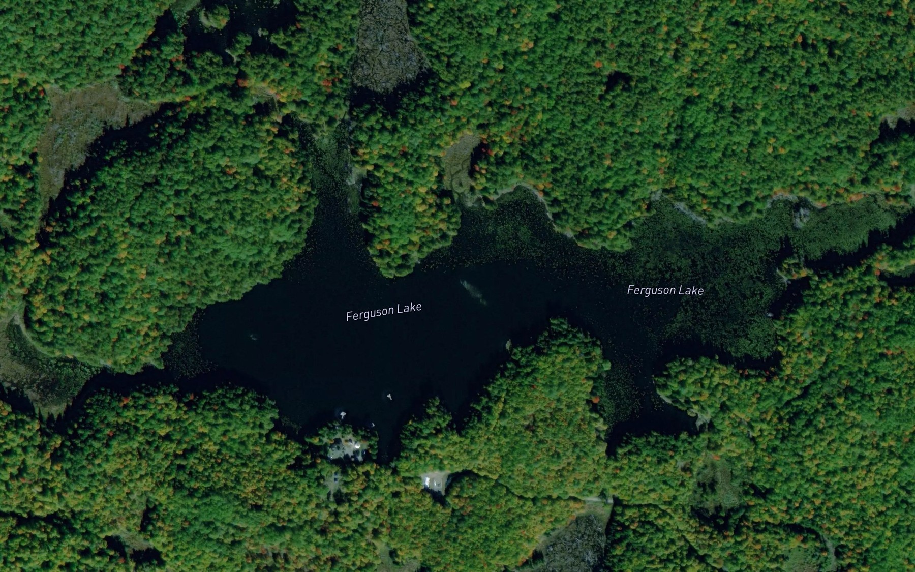 Satellite map of the Ferguson Lake