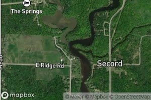 Tea Creek