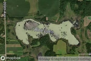 Rice Lake