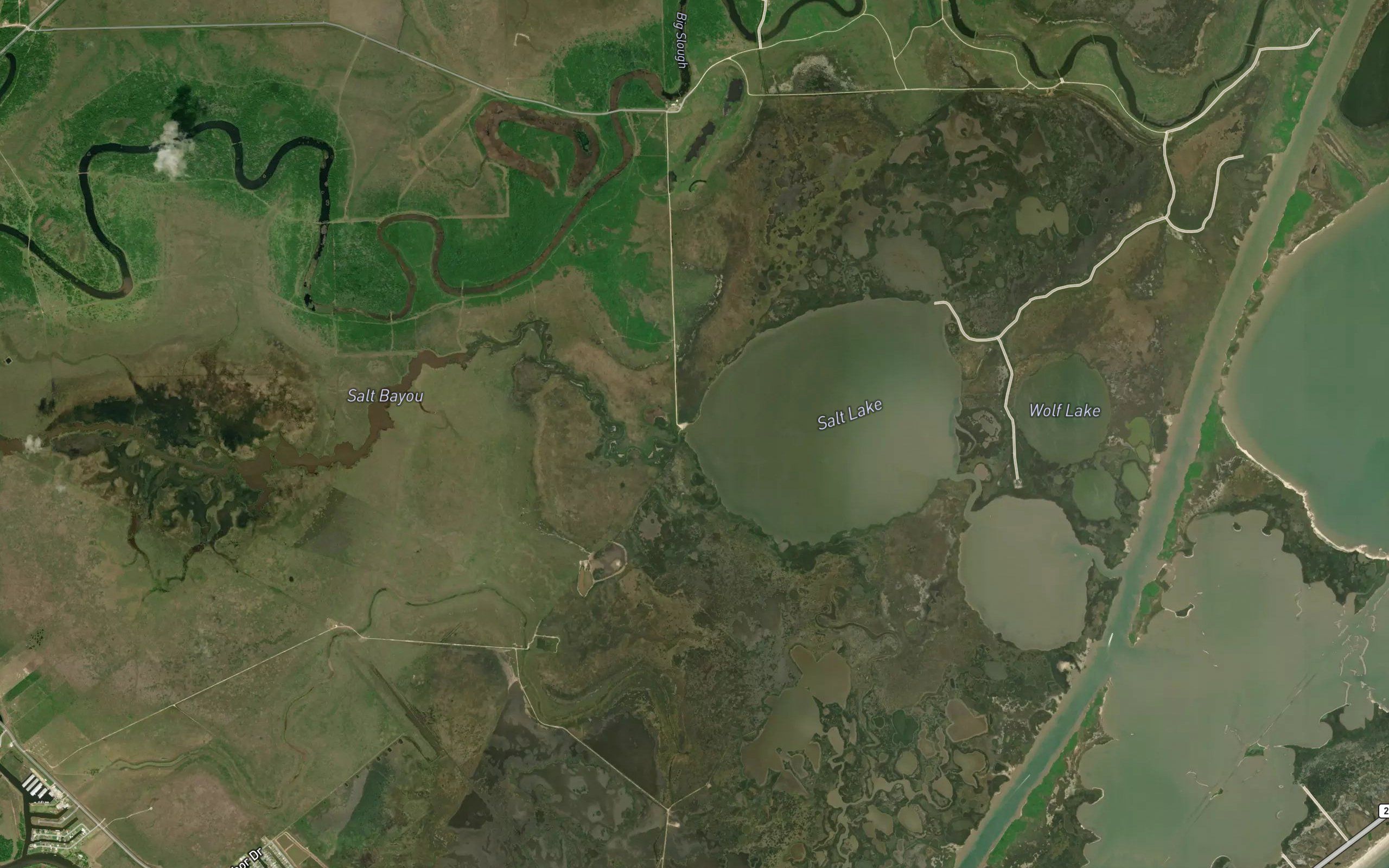 Salt Bayou