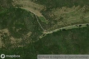 Refrigeration Springs