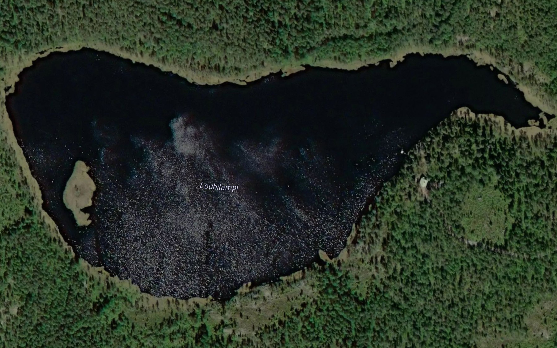 Satellite map of the Louhilampi