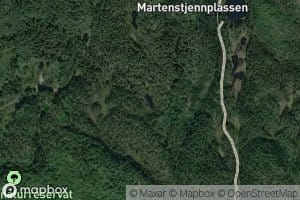 Moltetjenn