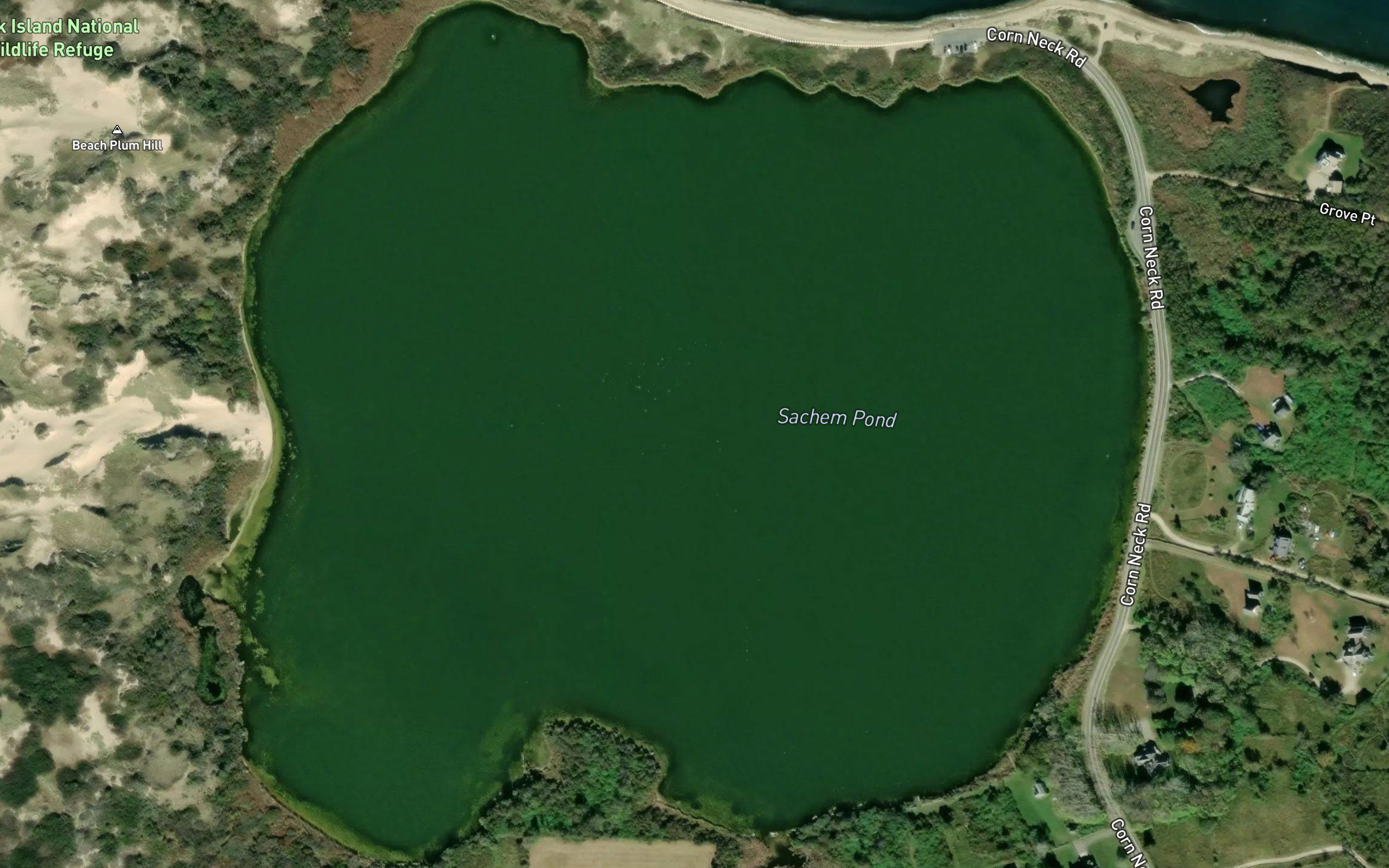 Sachem Pond