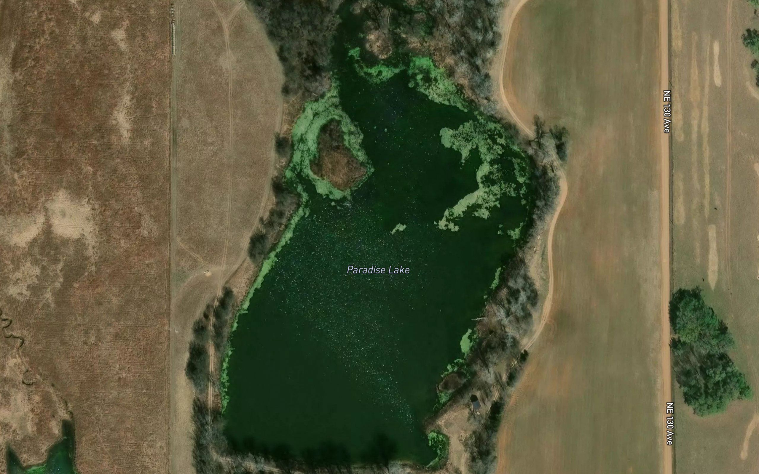 Paradise Lake