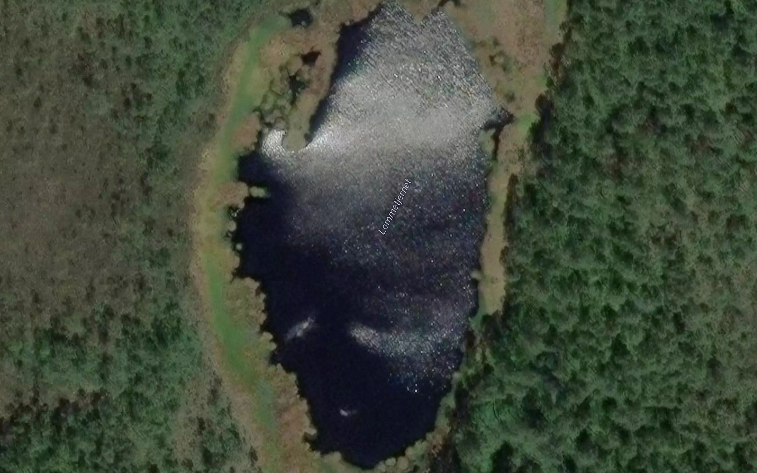 Lommetjern
