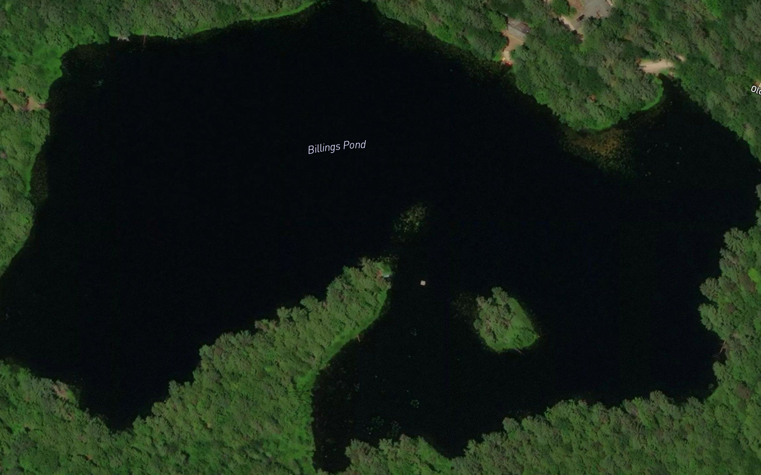 Billings Pond
