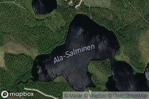Ala-Salminen