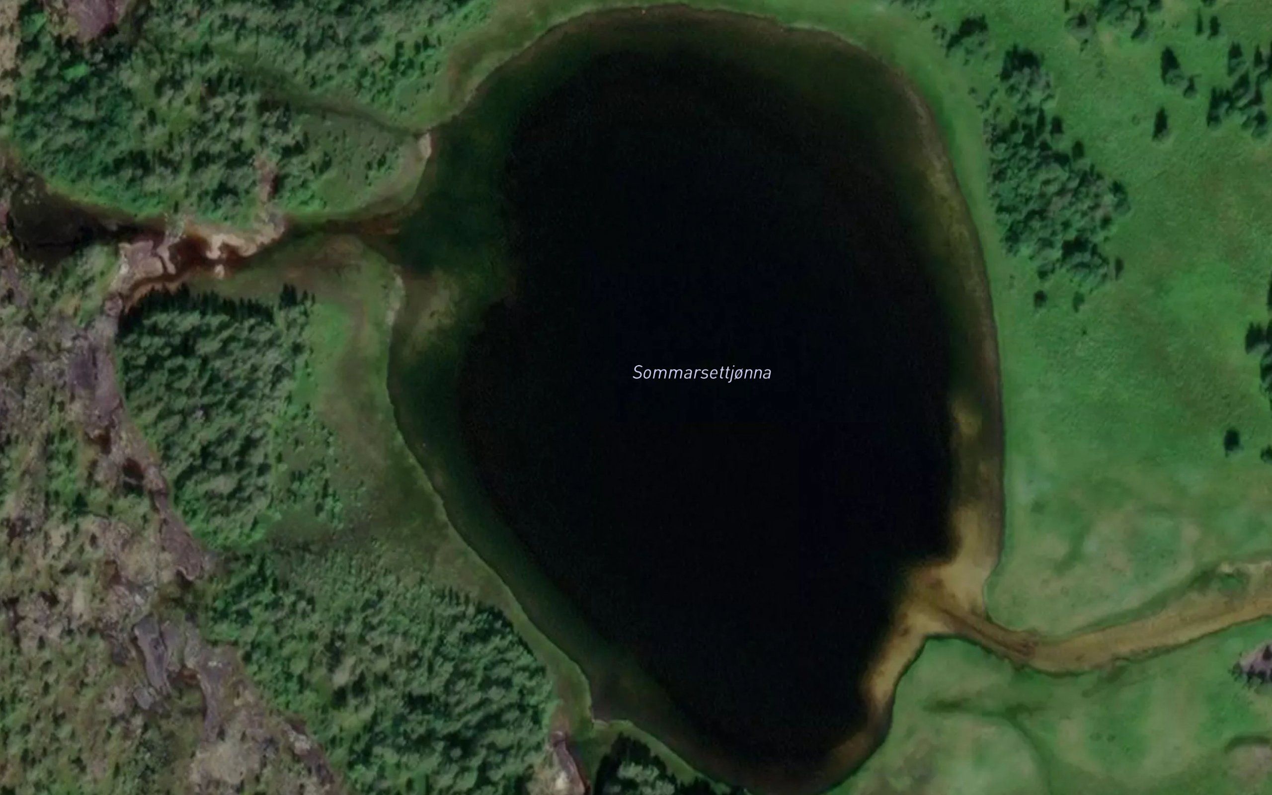 Sommarsettjonna