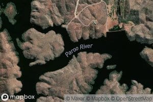 Bower Bird Creek