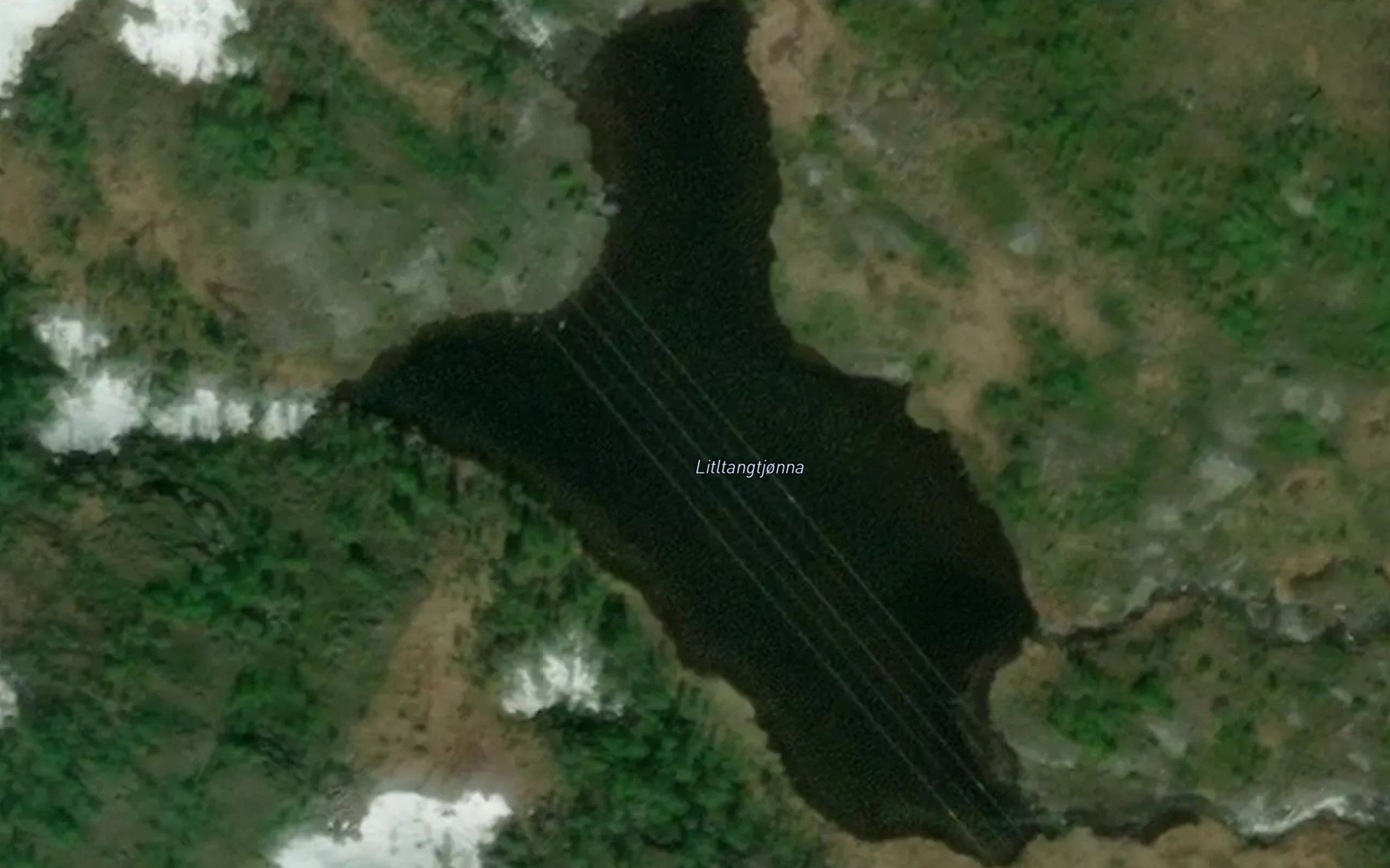 Tangtjorna,l