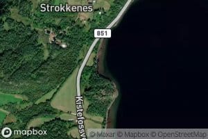 Kjerringvika