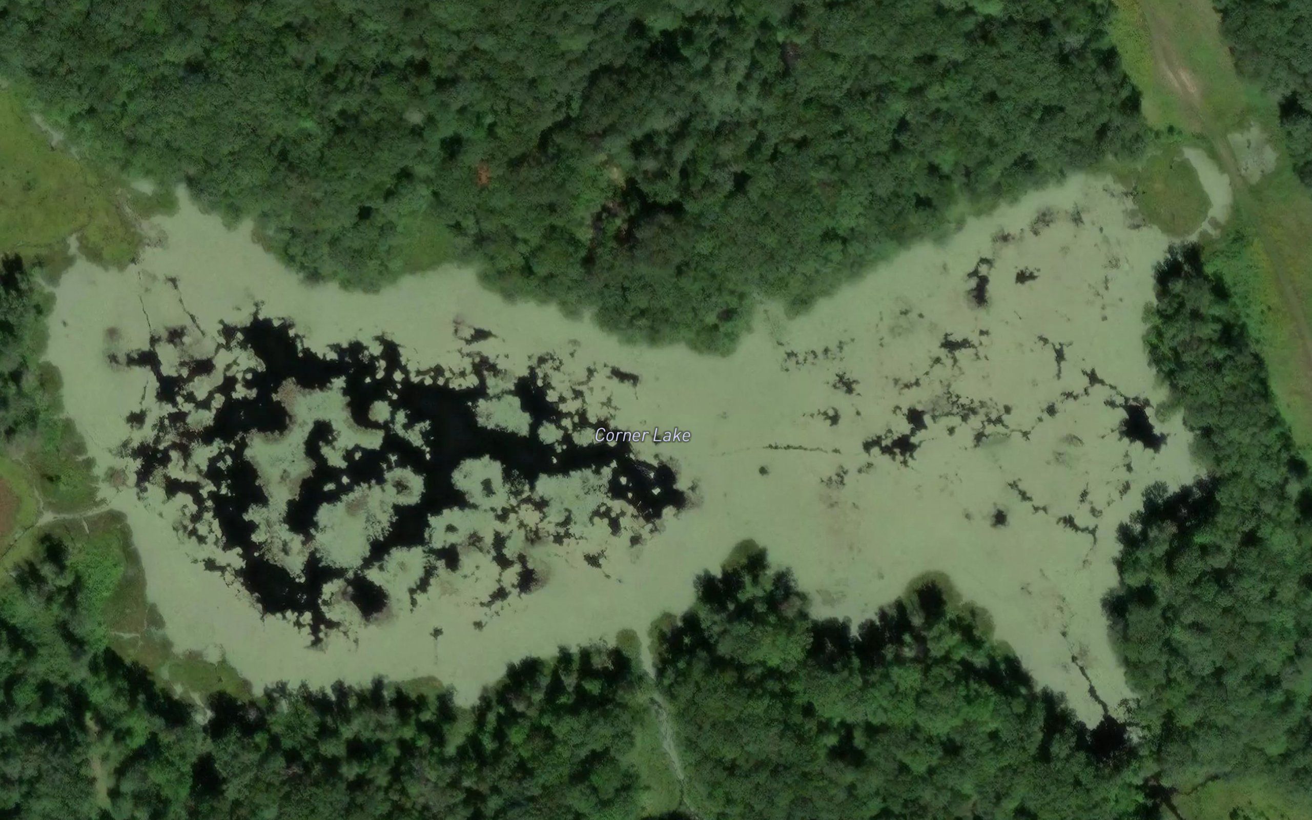 Corner Lake