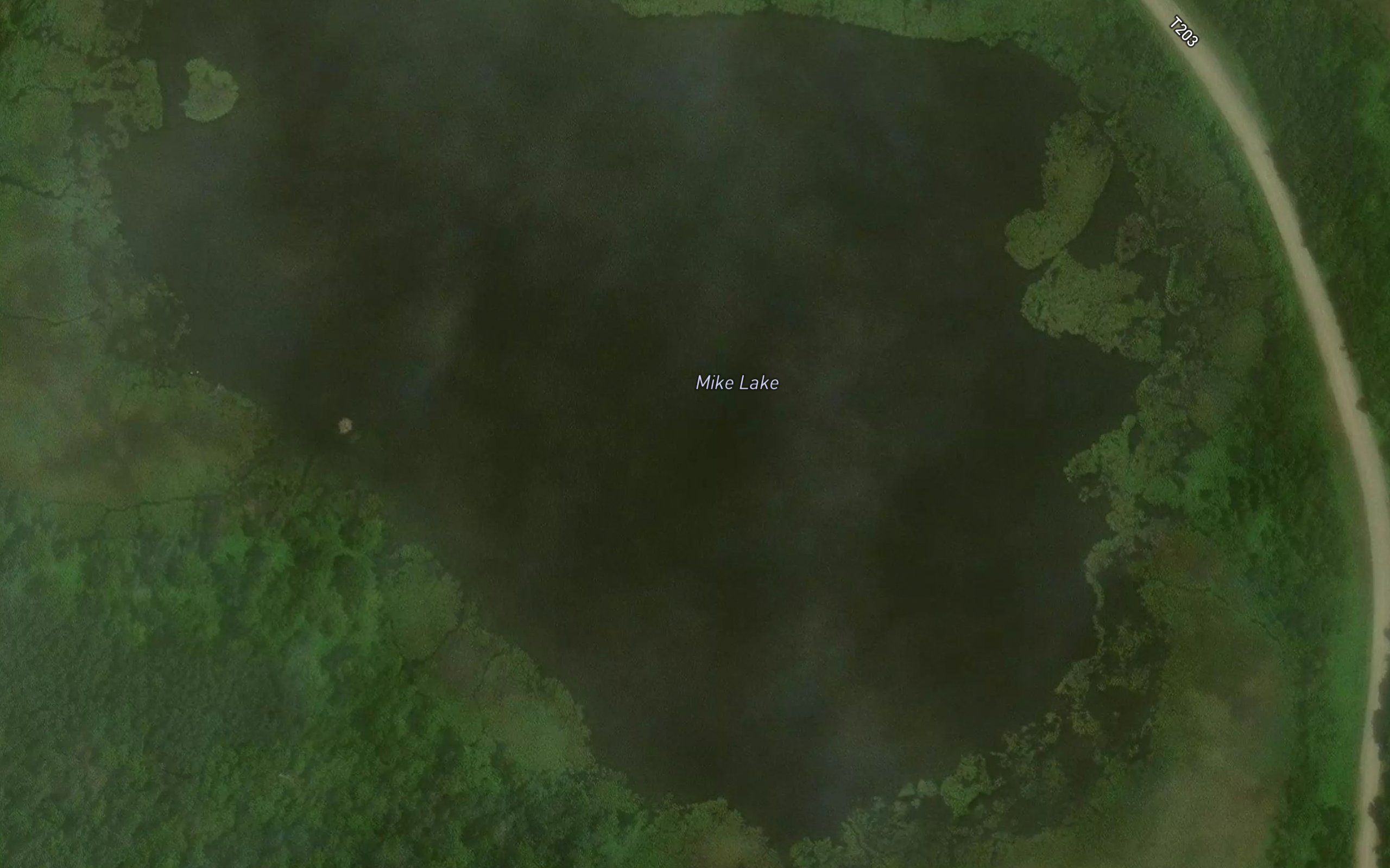 Mike Lake