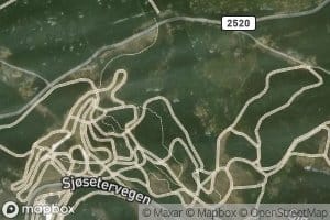 Skryftgangen