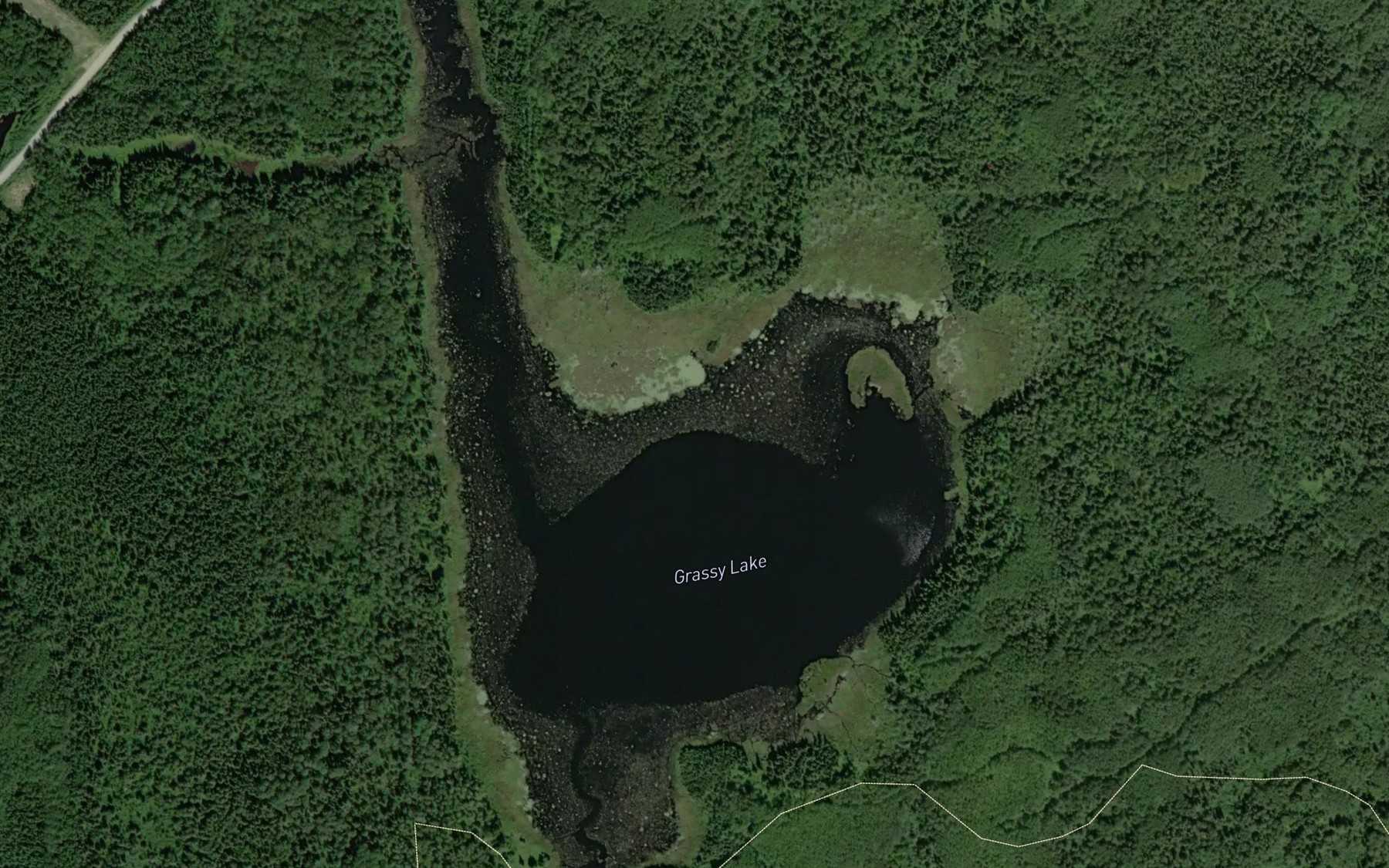 Satellite map of the Grassy Lake
