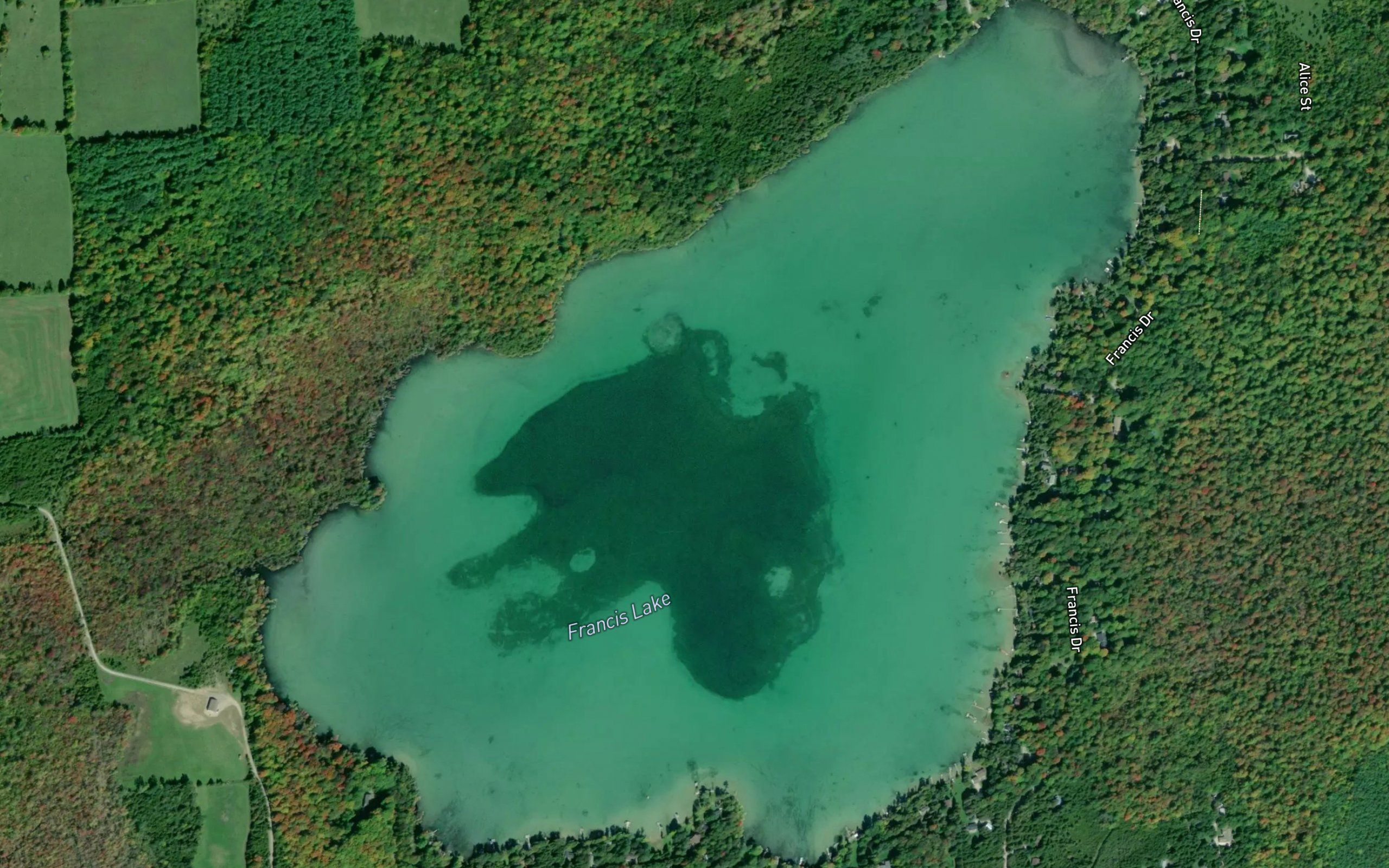 Francis Lake