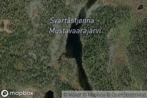 Svartastjonna