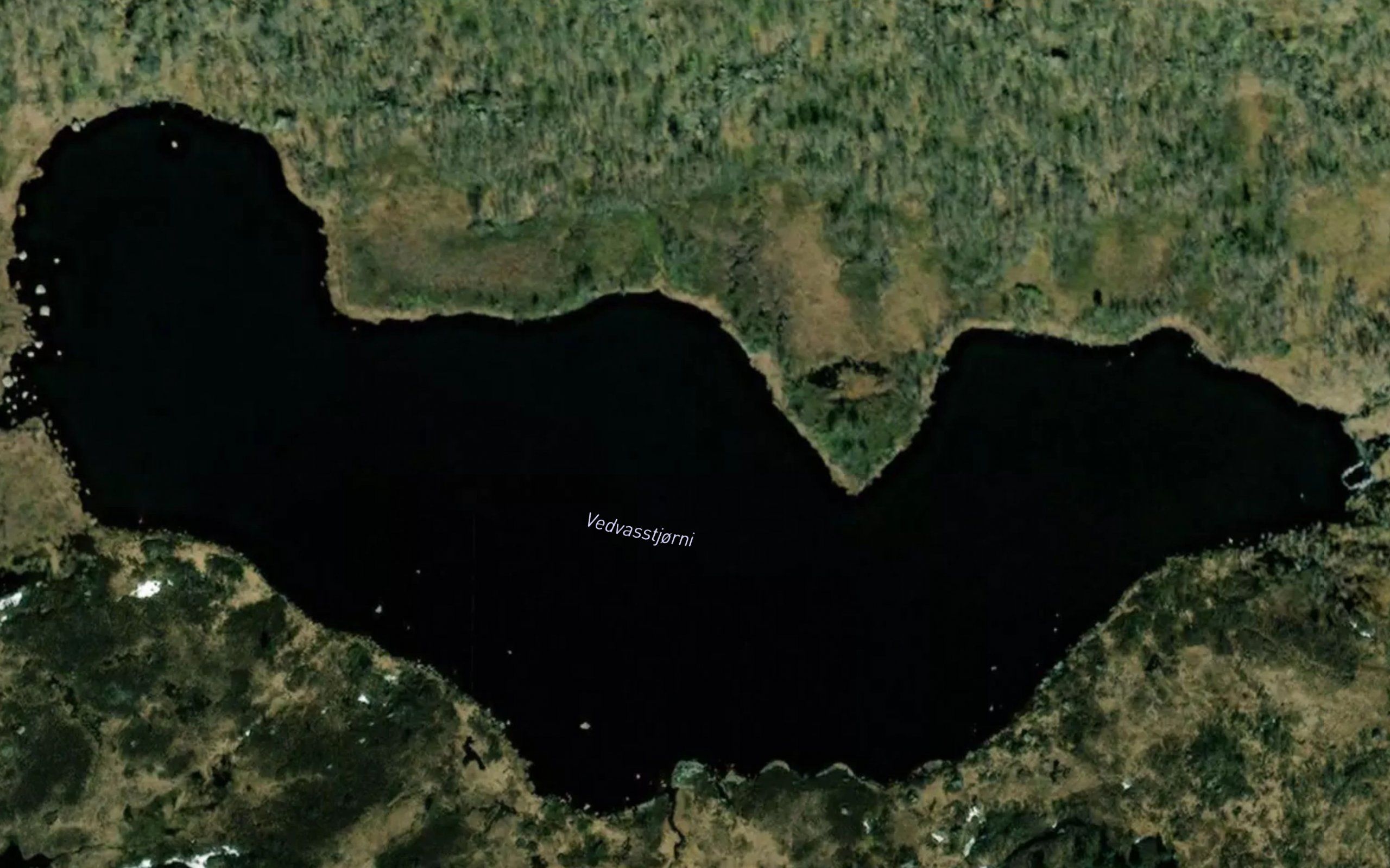 Vedvasstjorni