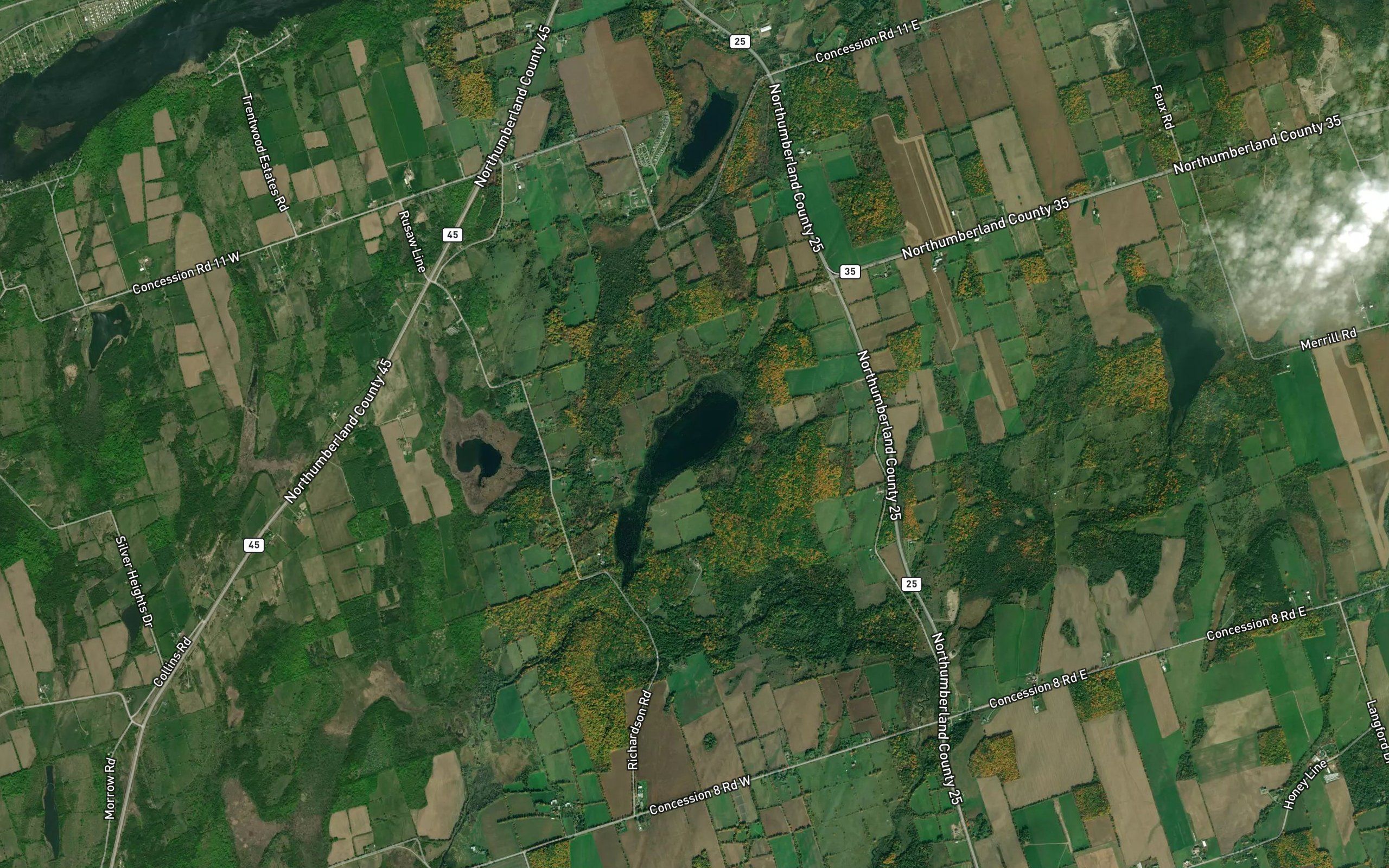 Lamey Lake