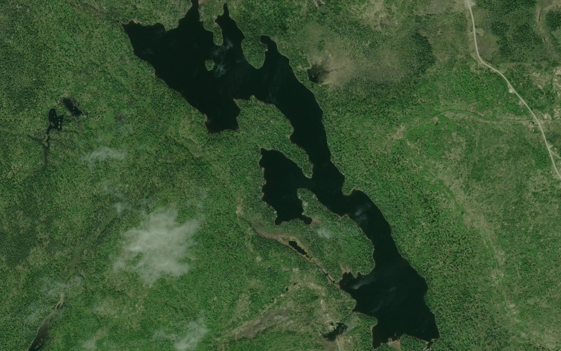 Satellite map of the Chapman Lake