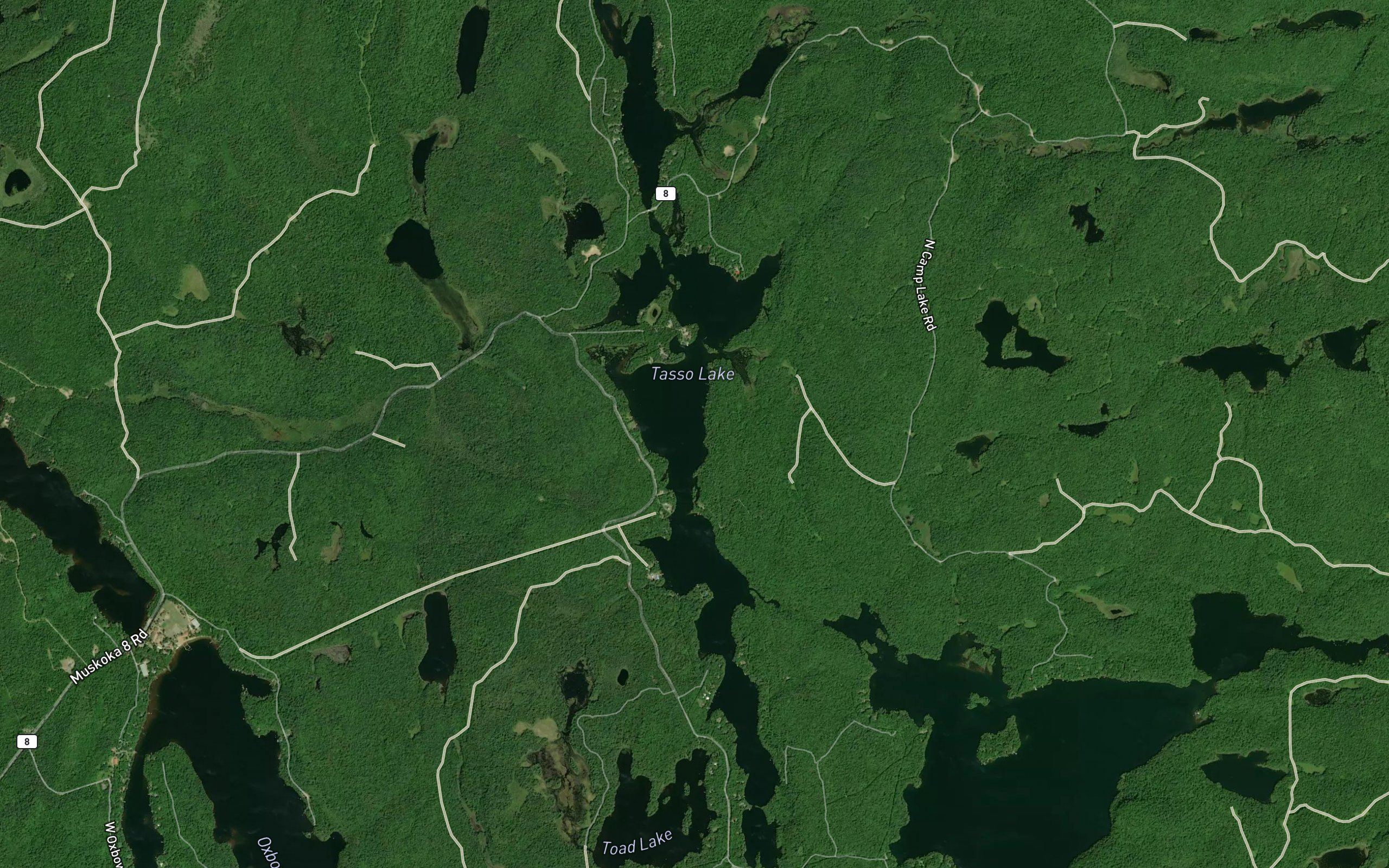 Tasso Lake