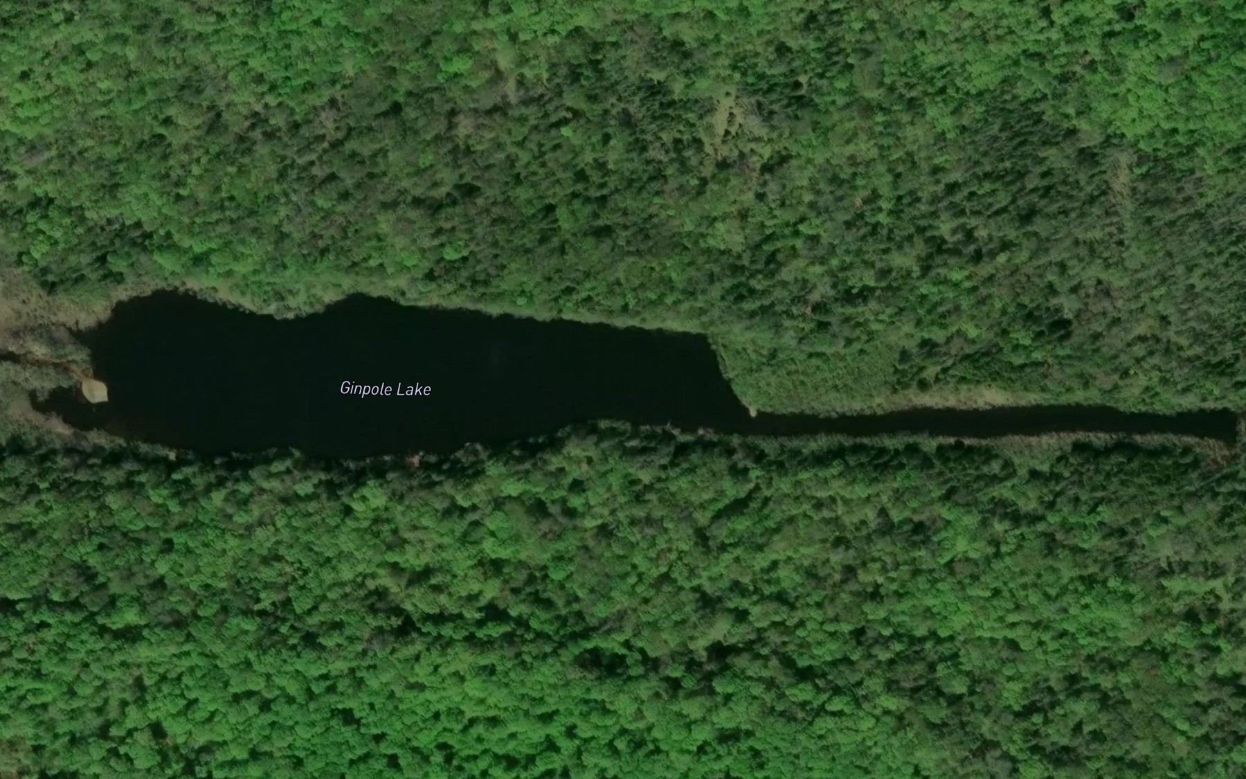 Satellite map of the Ginpole Lake