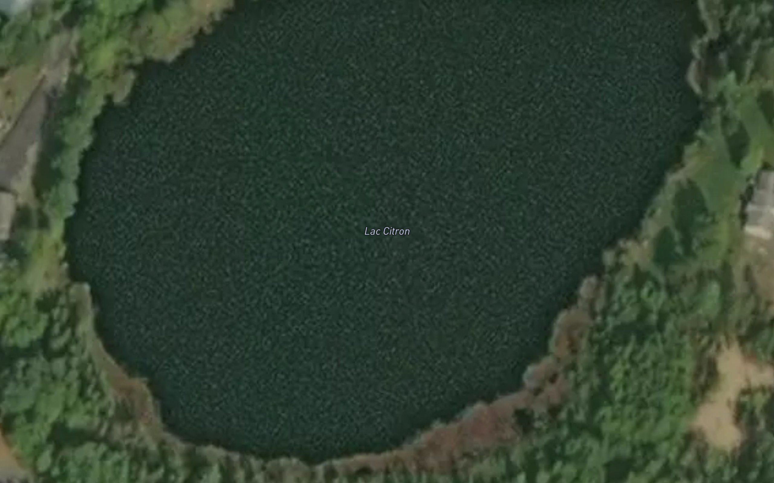 Lac Citron