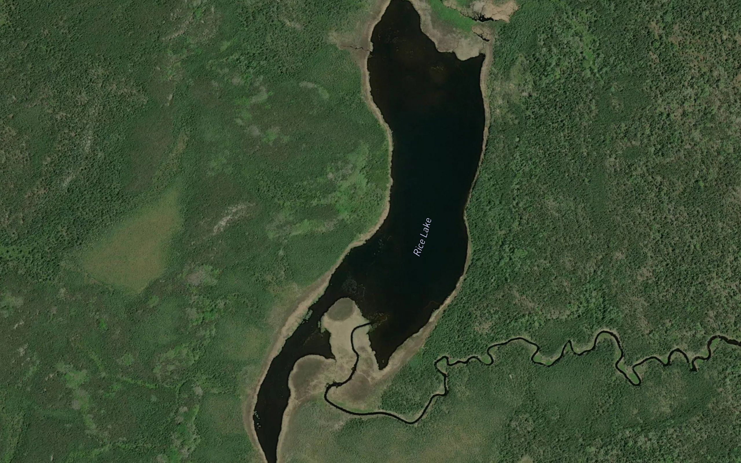 Rice Lake