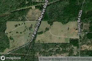 Dickey Branch