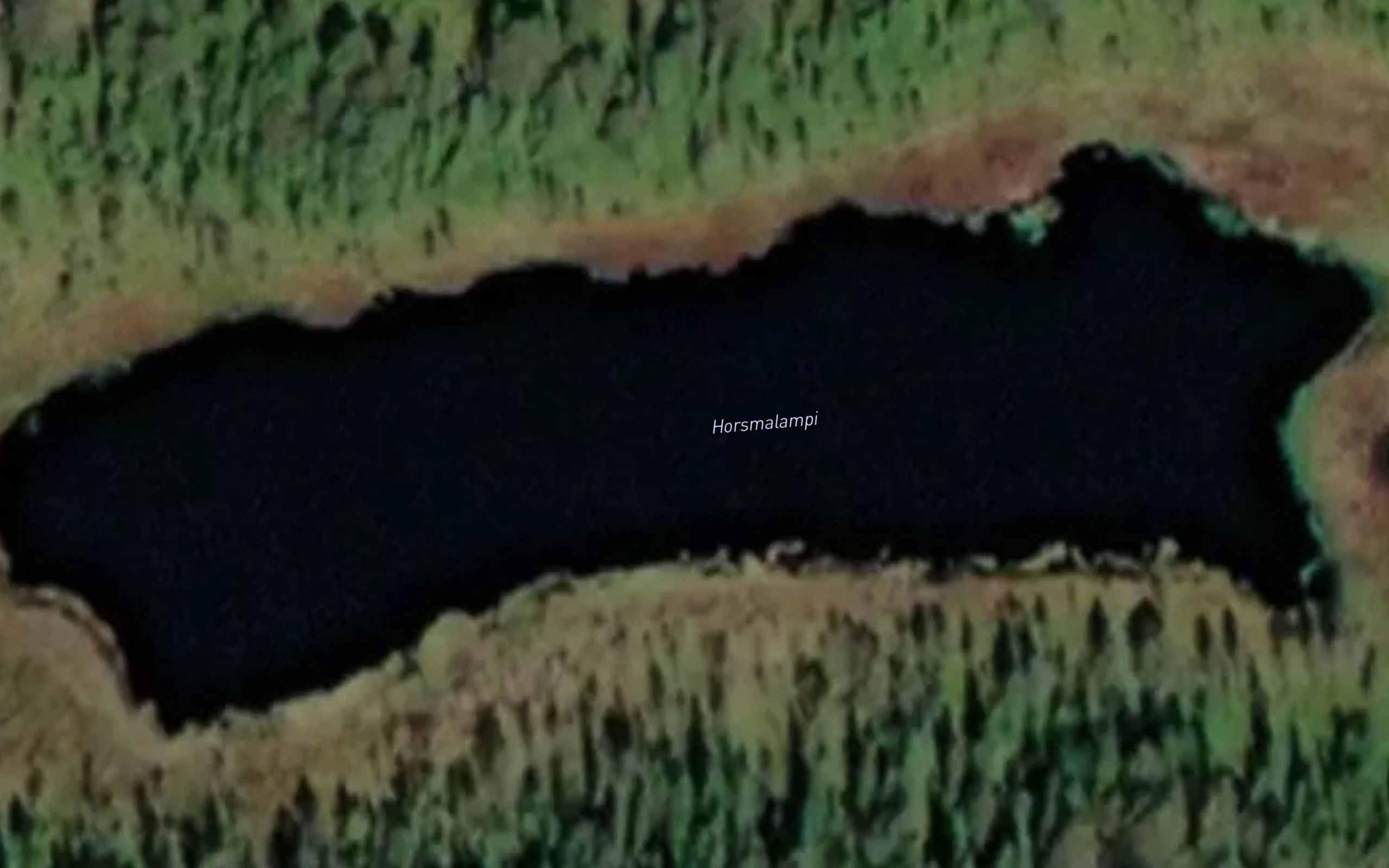 Horsmalampi