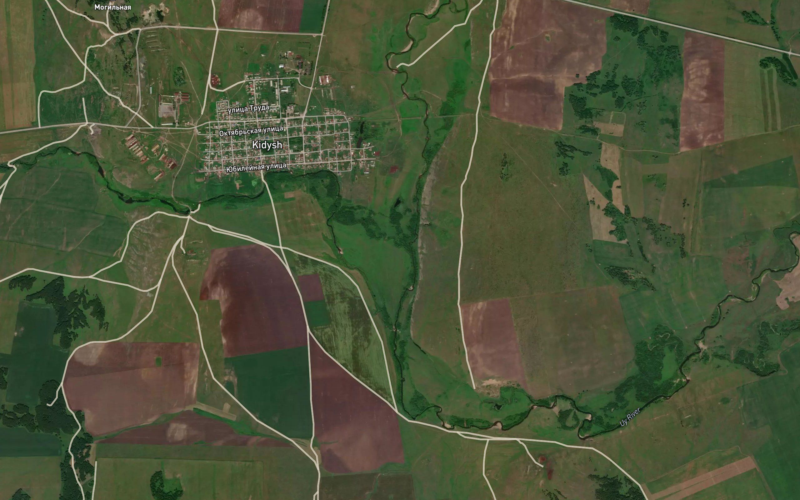 Kidysh