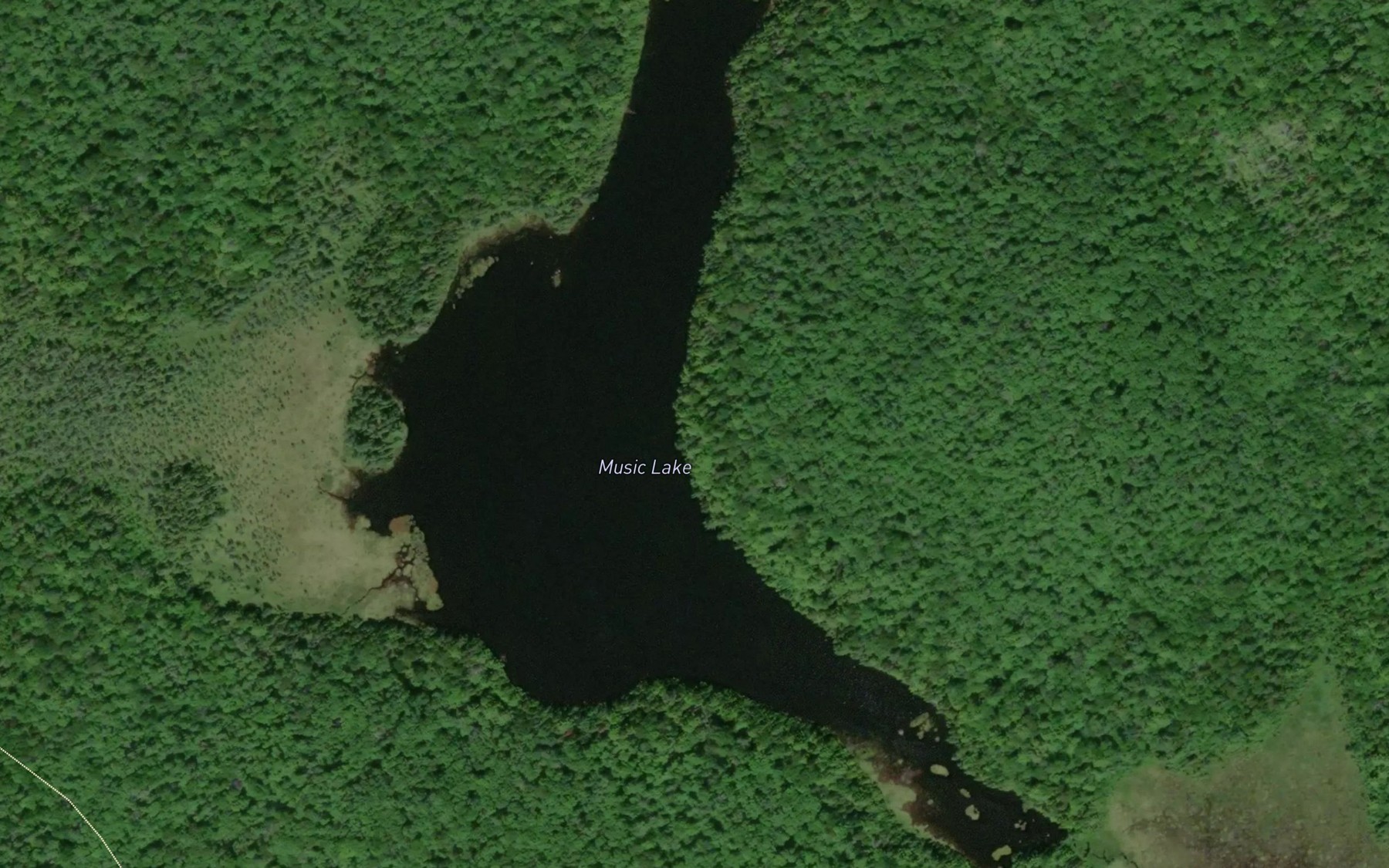 Satellite map of the Music Lake