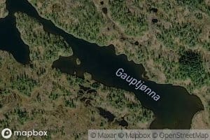 Gauptjorna
