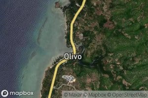 Olivo River