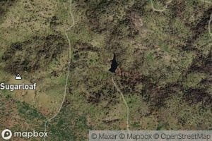 Double Trough Spring