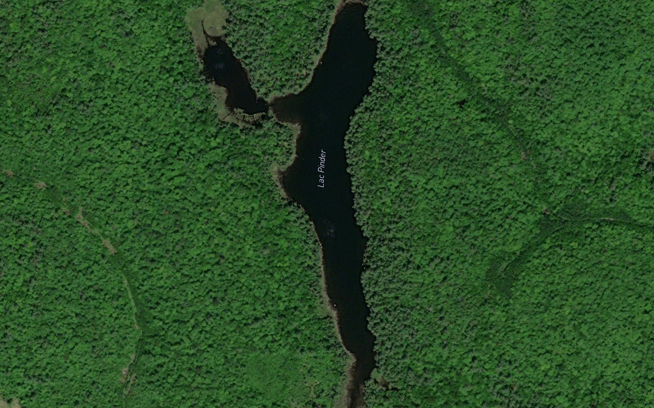 Lac Pinder