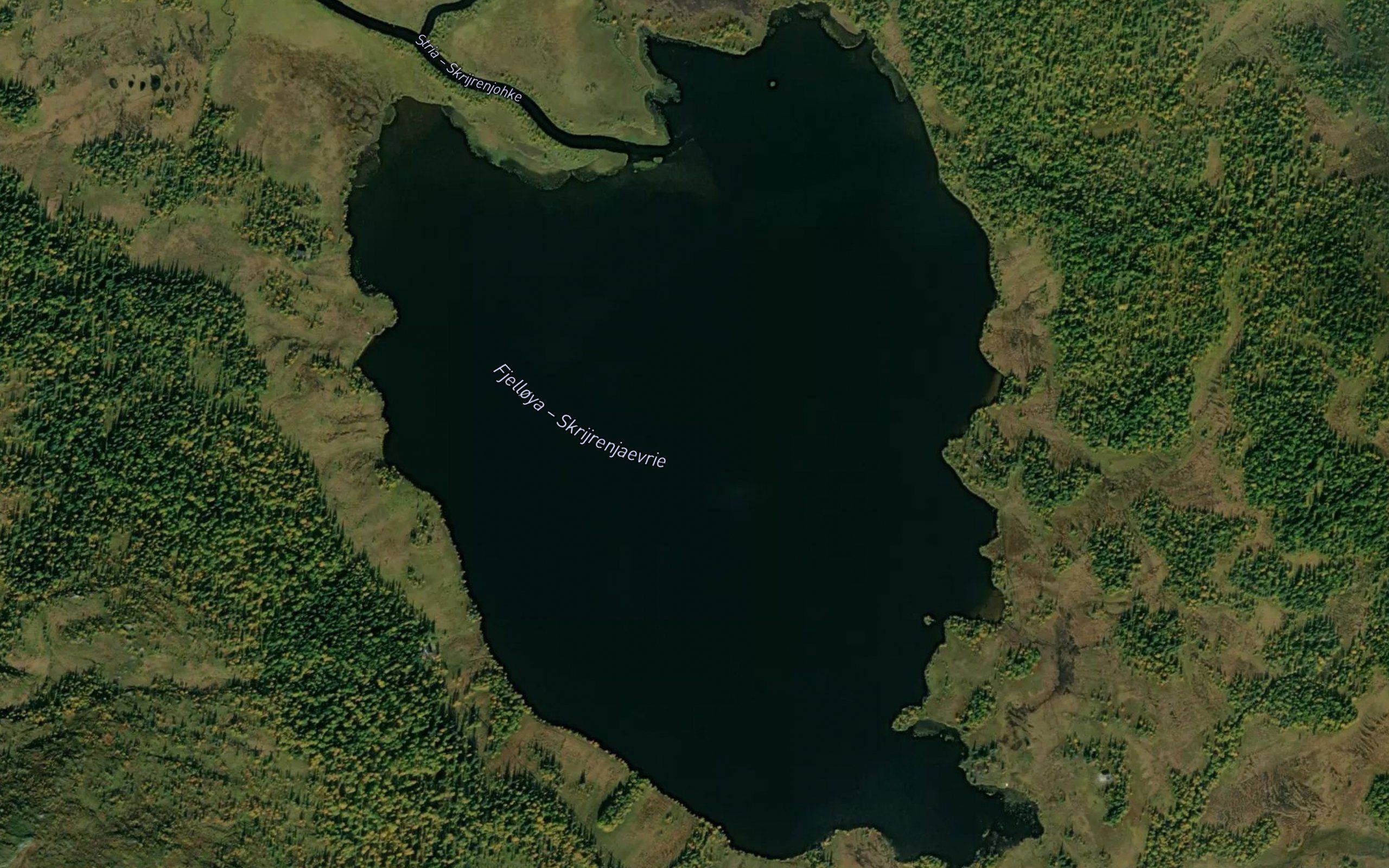Fjelloya