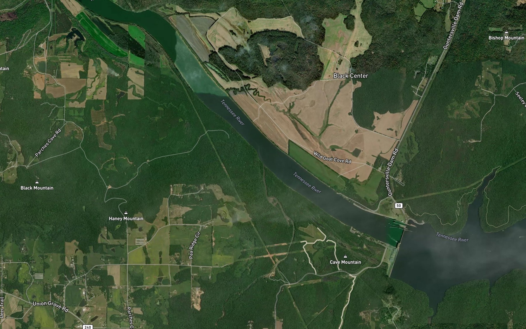 Satellite map of the Shoal Creek