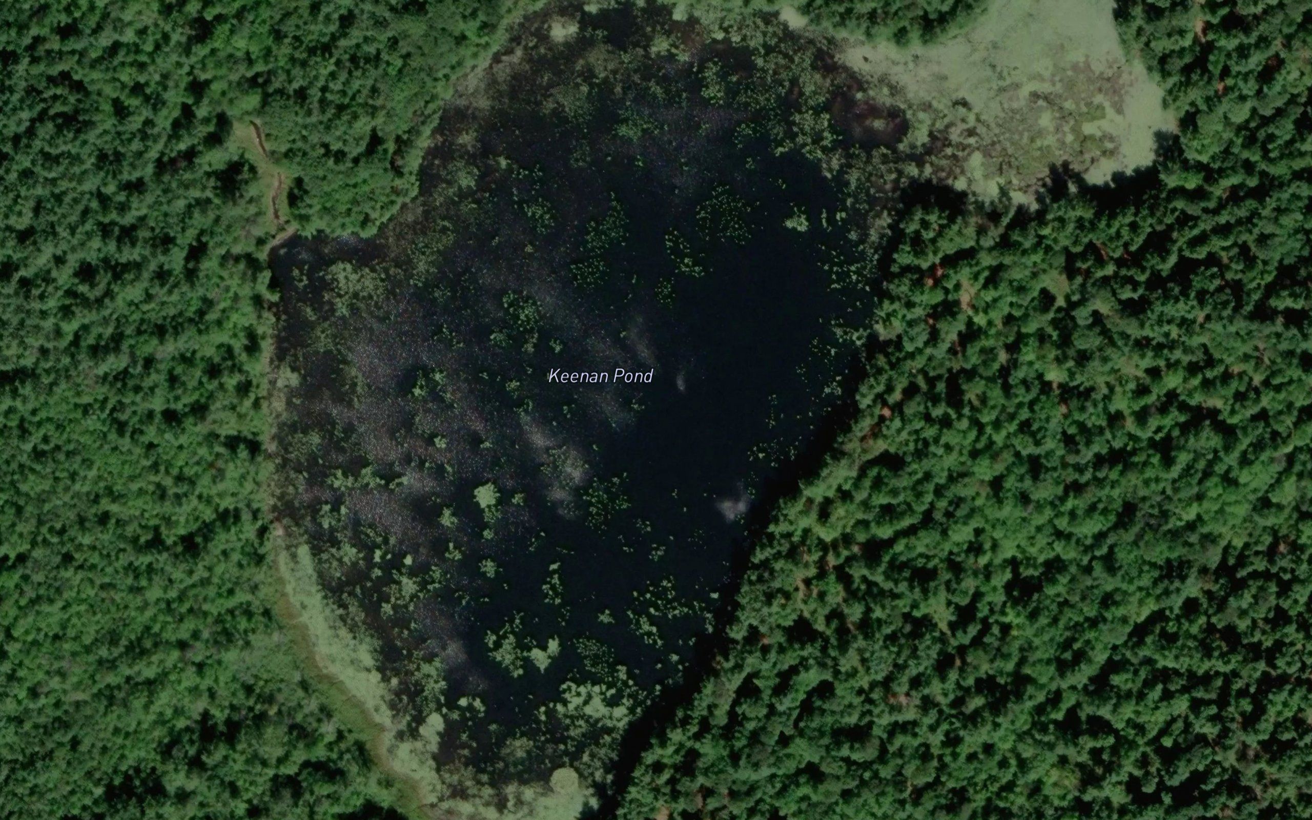 Keenan Pond