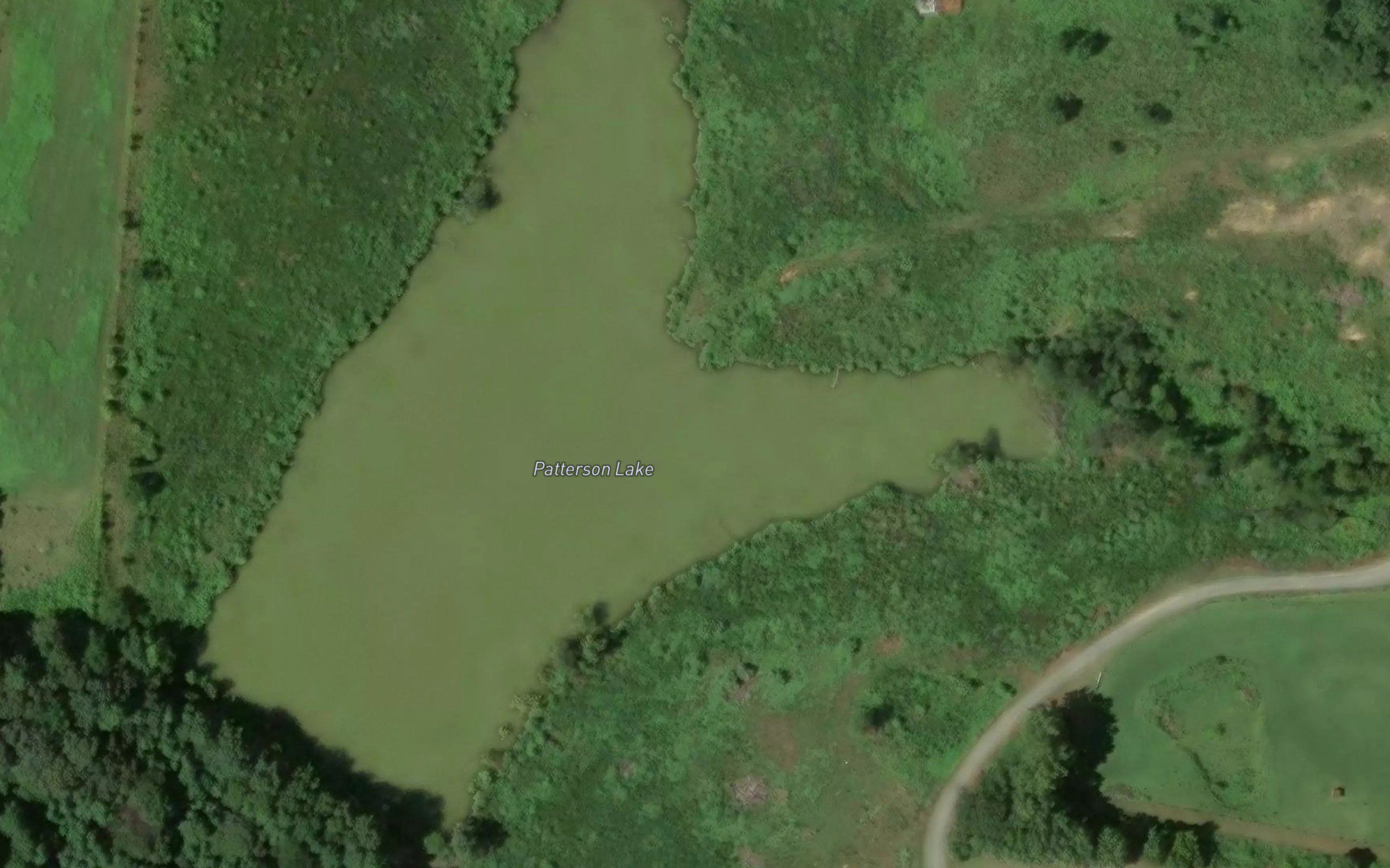 Patterson Lake