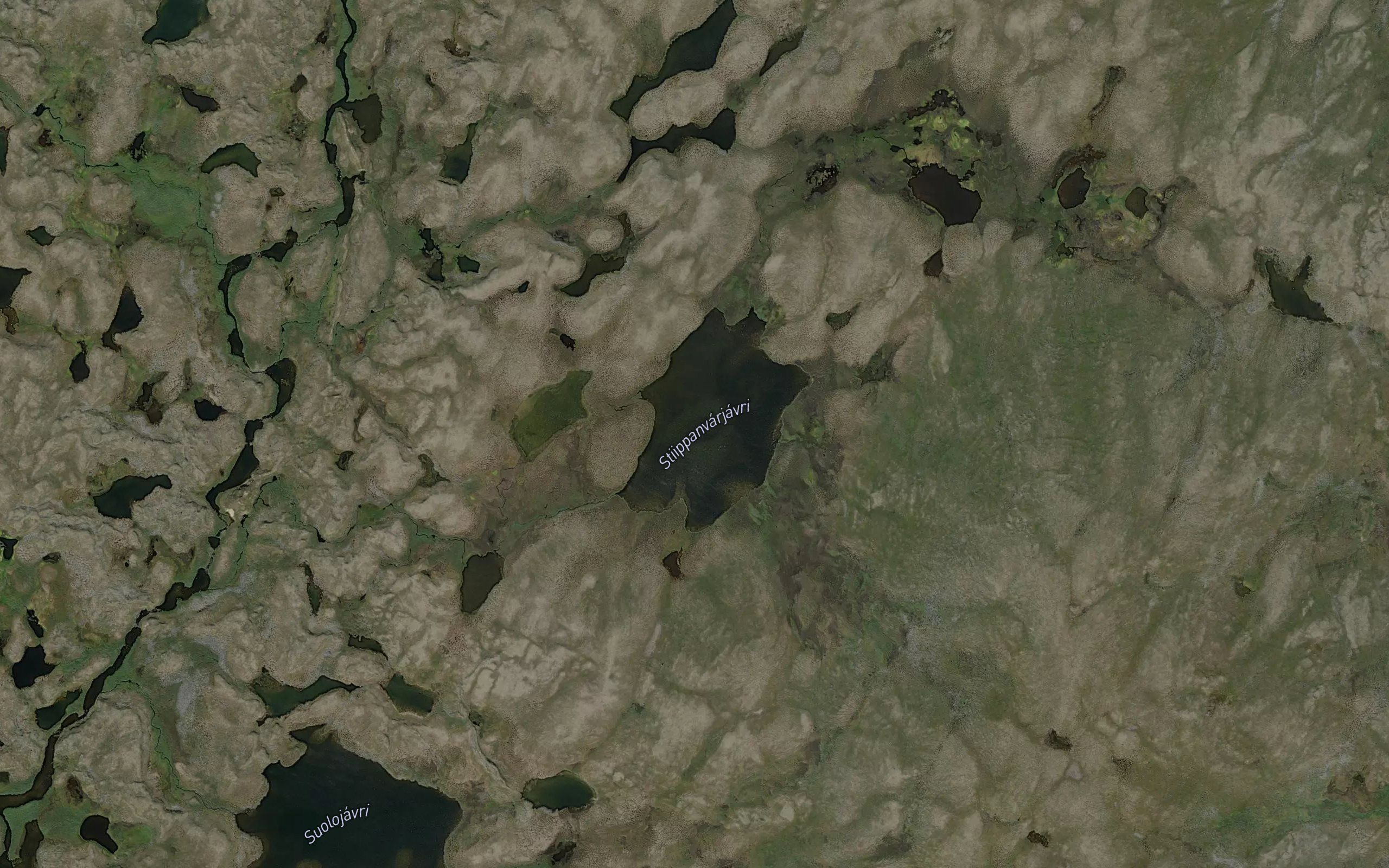 Stiippanvarjavri