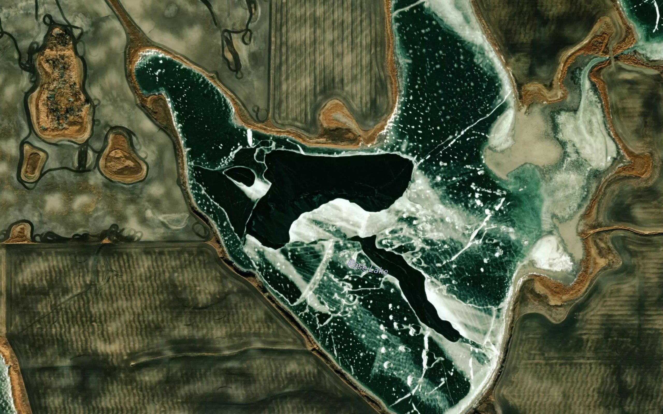 Rose Lake