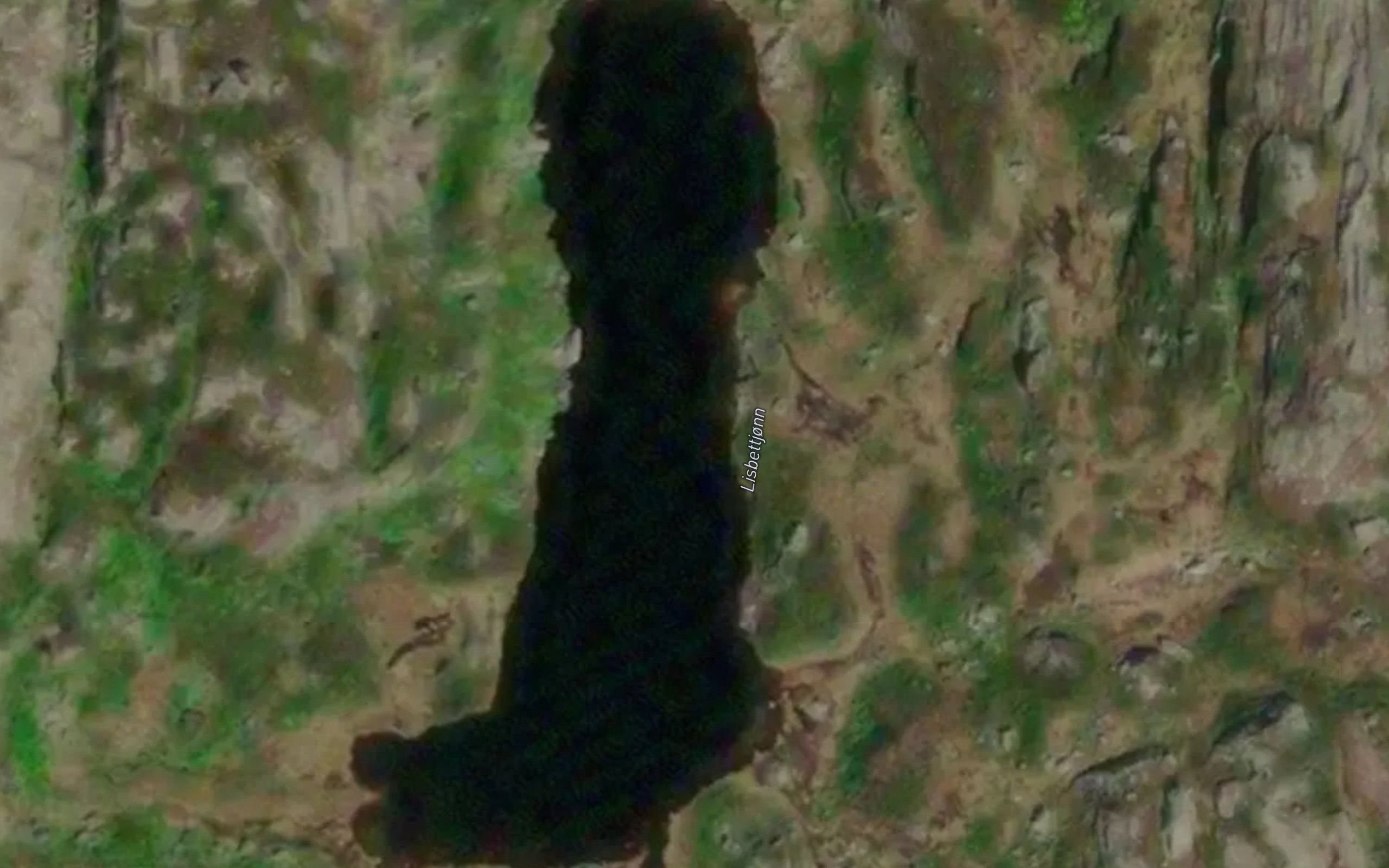 Lisbettjonn
