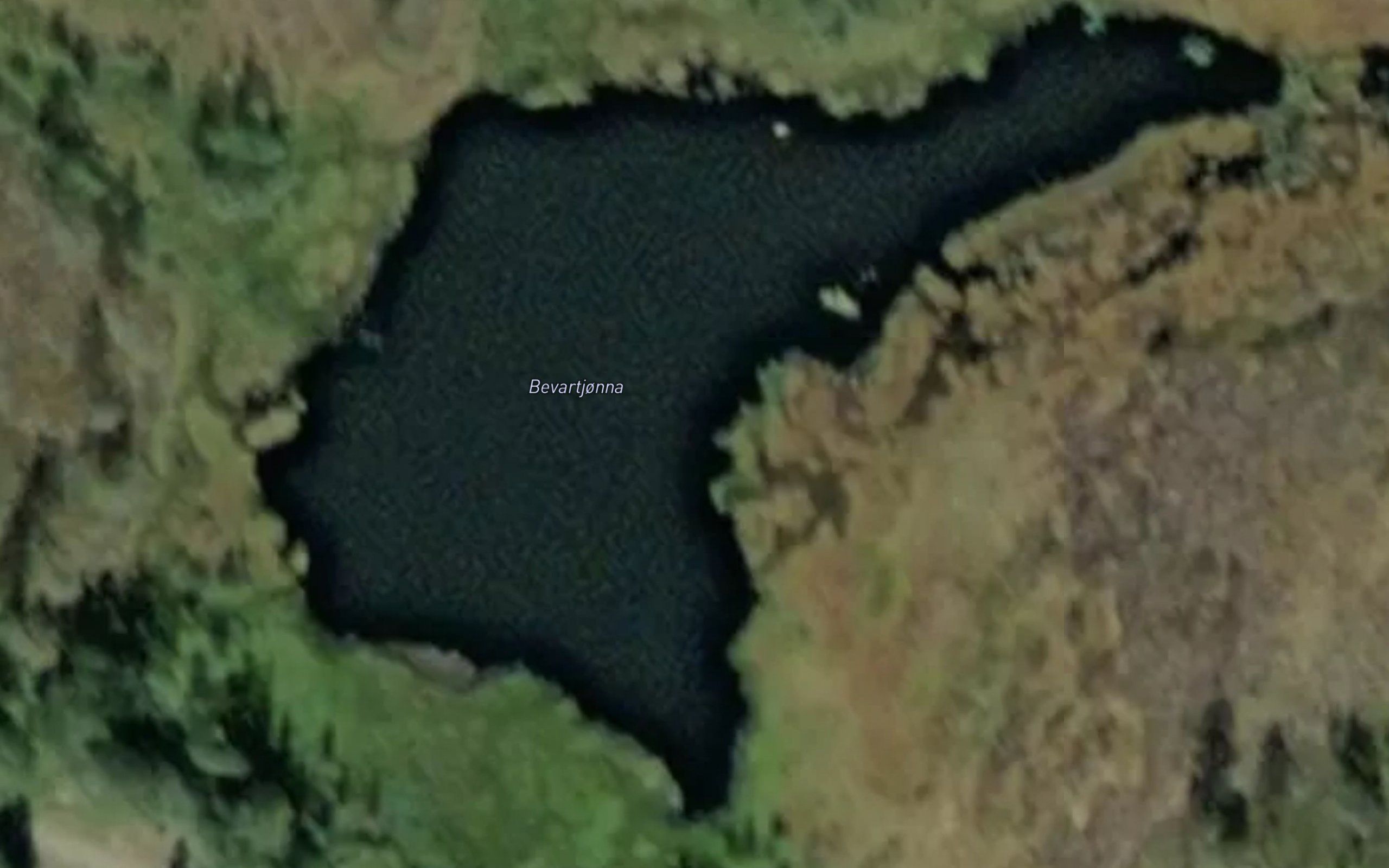 Bevartjonna