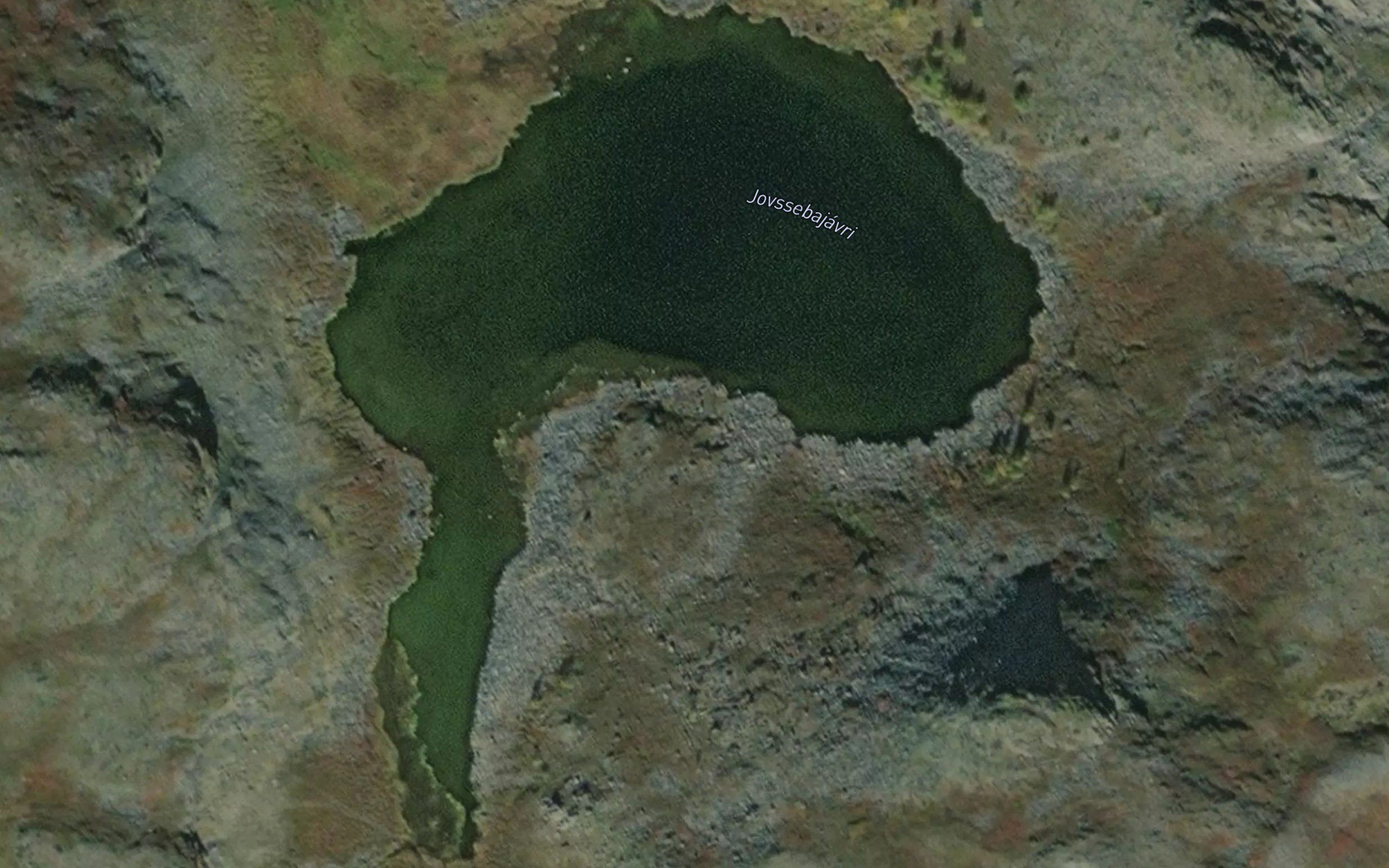 Javsebajavri