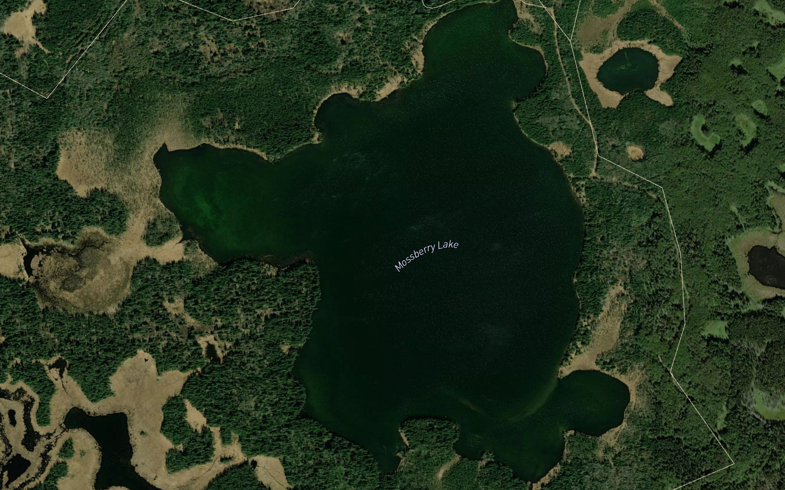 Mossberry Lake